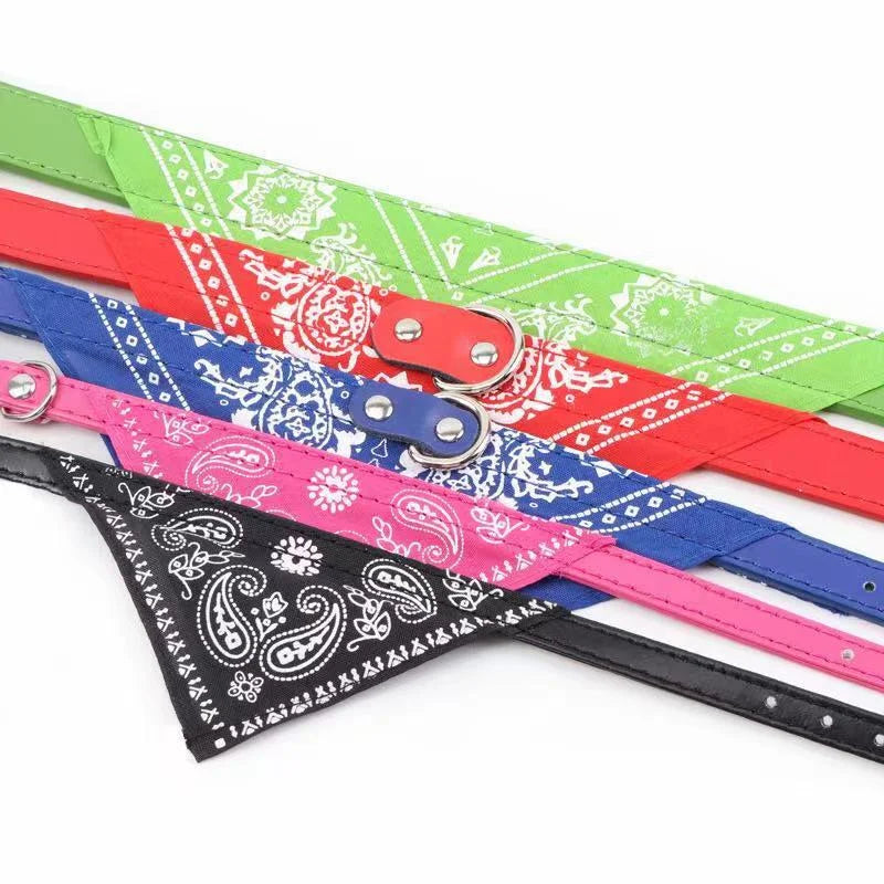 Coleiras Bandana Gatos E Cães Pequenos